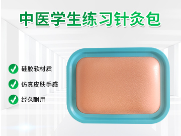 硅膠中醫(yī)練習(xí)針灸包